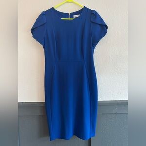Calvin Klein Size 12 Cobalt Blue Fitted Sheath Dress Office Cocktail